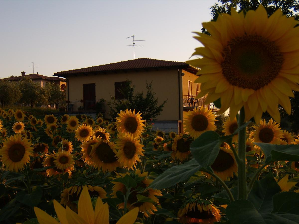 B&B Il Girasole Montepulciano Exterior photo